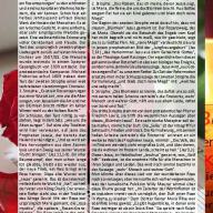 Dezember 2025 Januar 2026 web_Seite_31