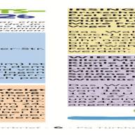 Februar 2026_Seite_06