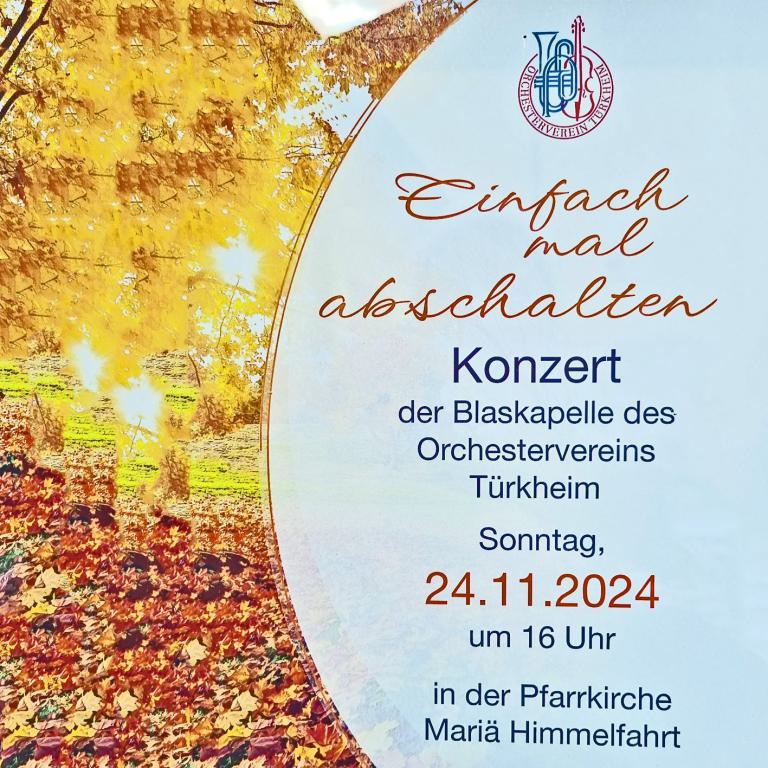 Konzert des Orchsestervereins